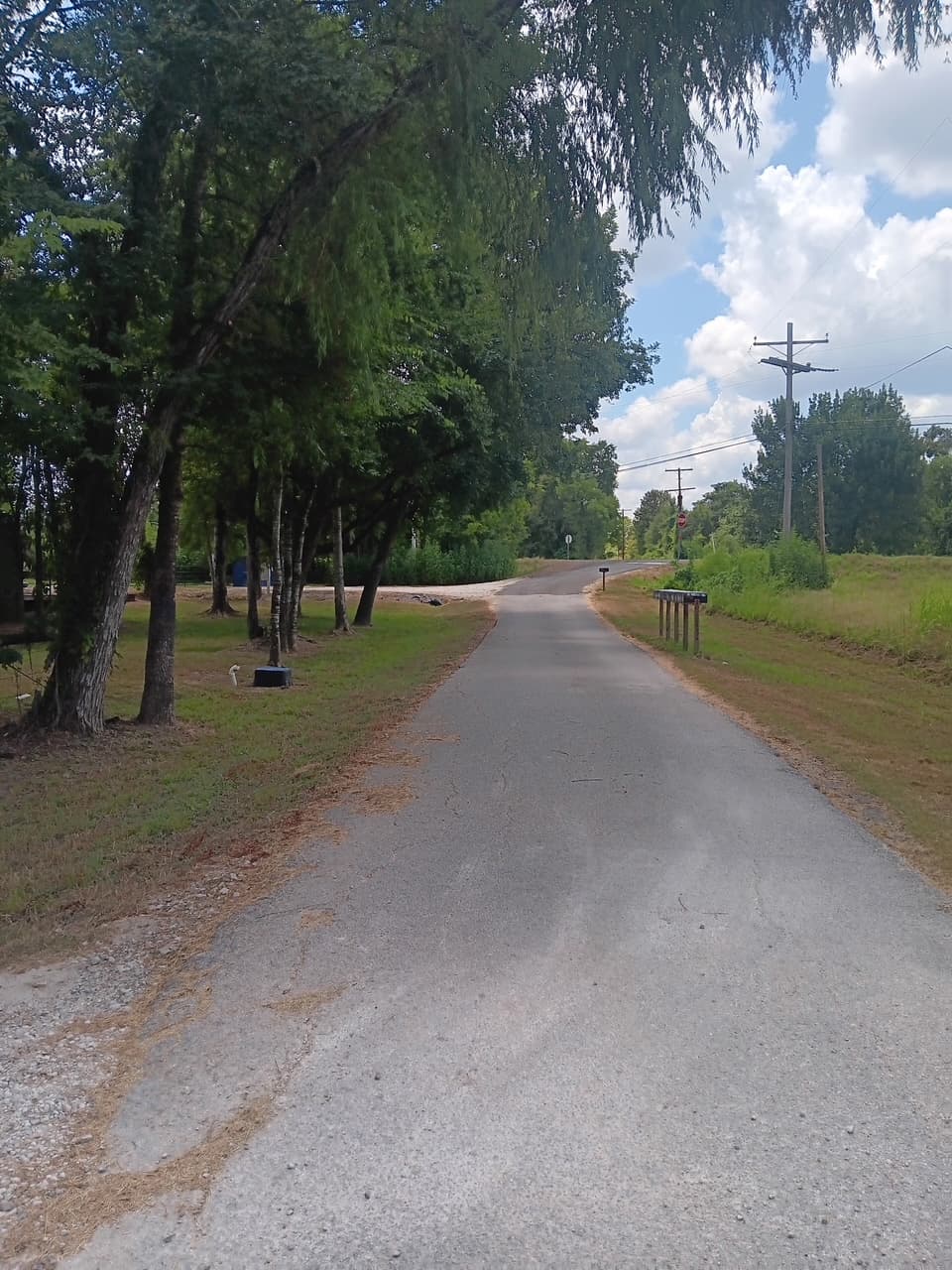 Tree-lined driveway at Riverside Outpost RV Park