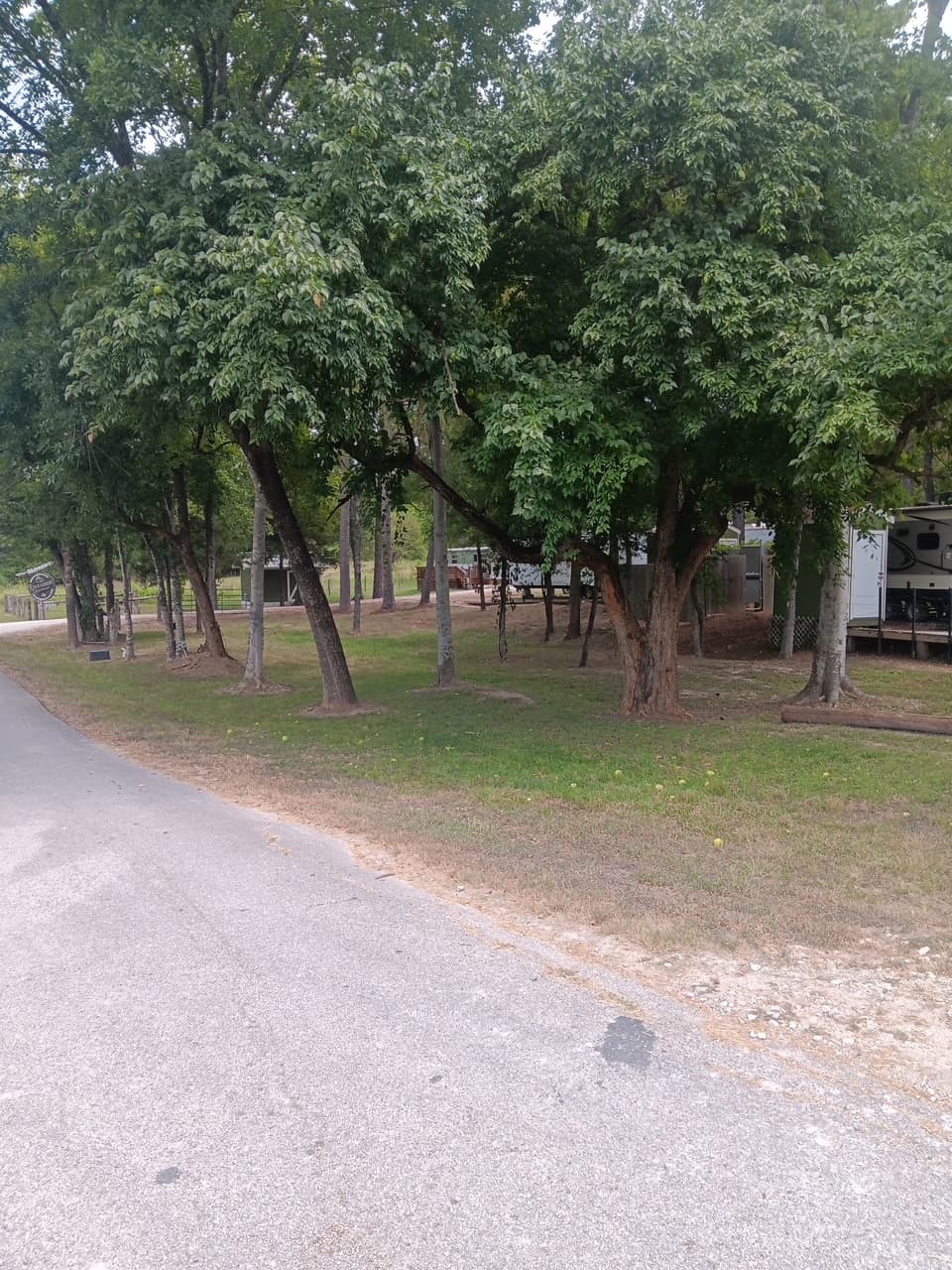Shaded wooded RV sites with picnic area